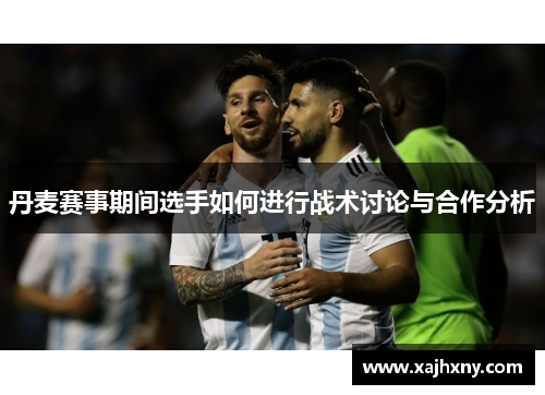 丹麦赛事期间选手如何进行战术讨论与合作分析