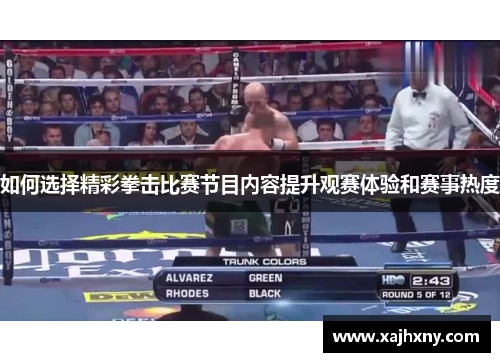 如何选择精彩拳击比赛节目内容提升观赛体验和赛事热度