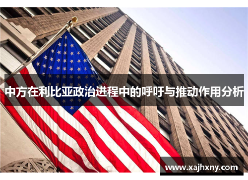 中方在利比亚政治进程中的呼吁与推动作用分析
