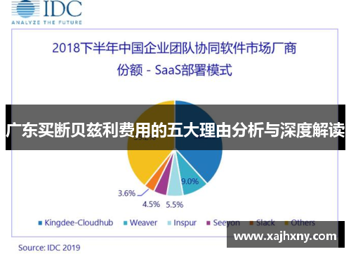 广东买断贝兹利费用的五大理由分析与深度解读