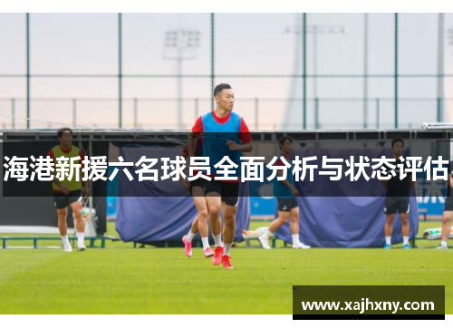 海港新援六名球员全面分析与状态评估