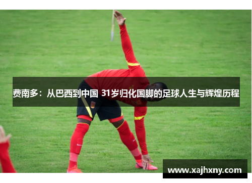 费南多：从巴西到中国 31岁归化国脚的足球人生与辉煌历程