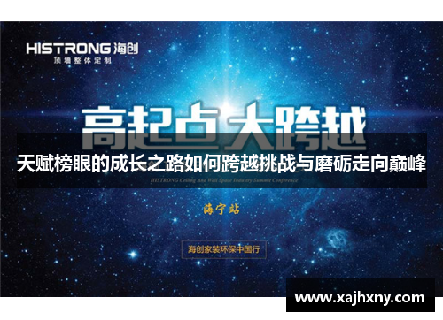 天赋榜眼的成长之路如何跨越挑战与磨砺走向巅峰